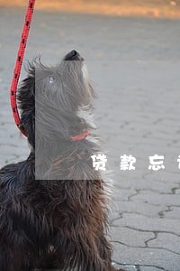 贷款忘记存 逾期1天 贷款忘记存 逾期1天